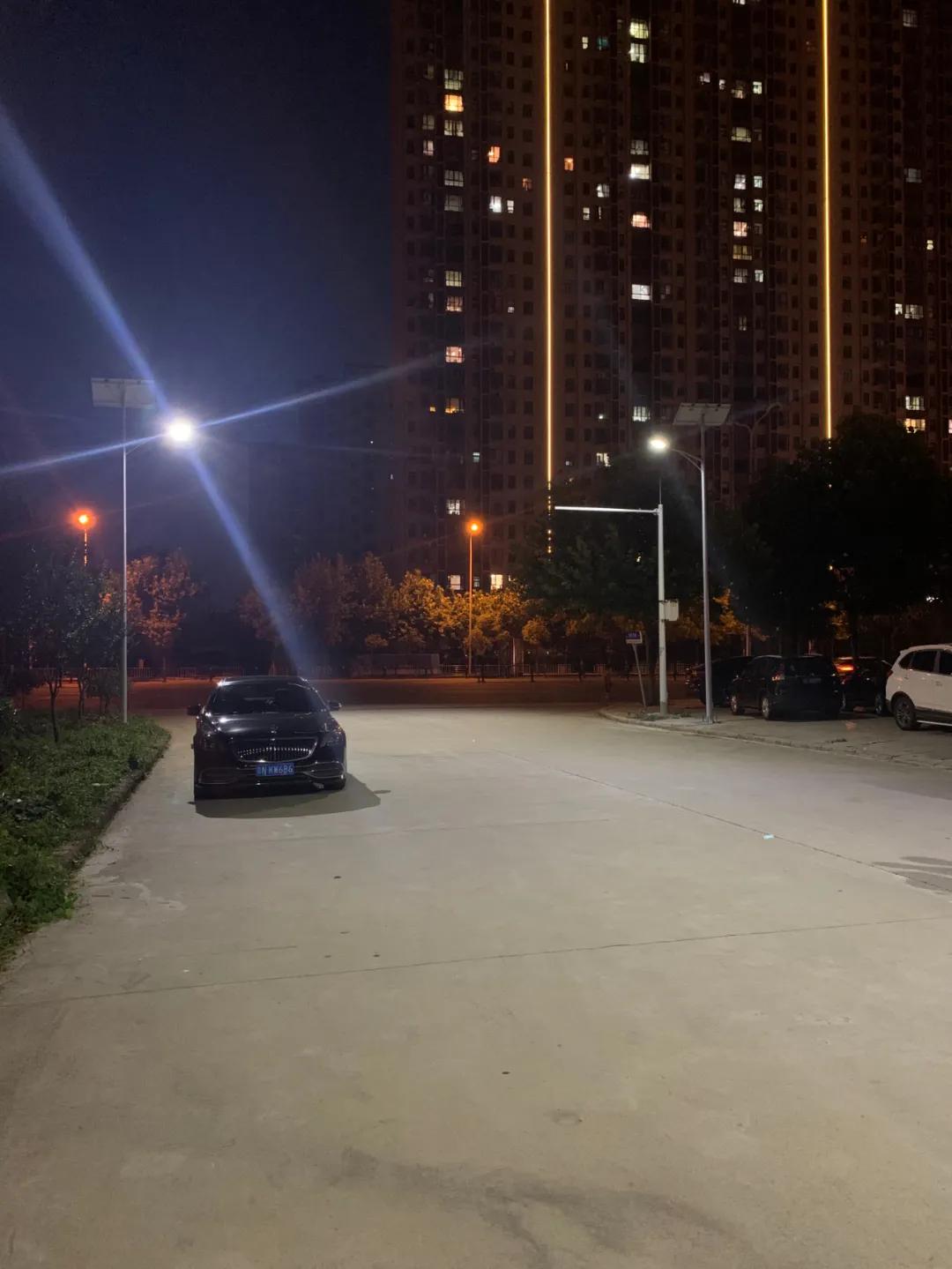 云鵬燈〡九萬(wàn)里風(fēng)安稅駕，云鵬今悔不卑飛