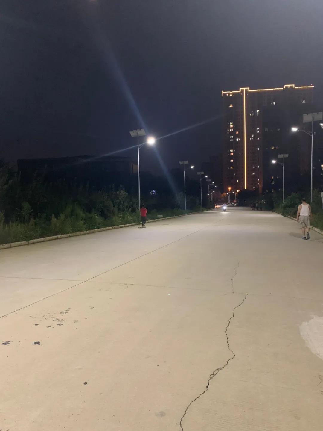 云鵬燈〡九萬(wàn)里風(fēng)安稅駕，云鵬今悔不卑飛