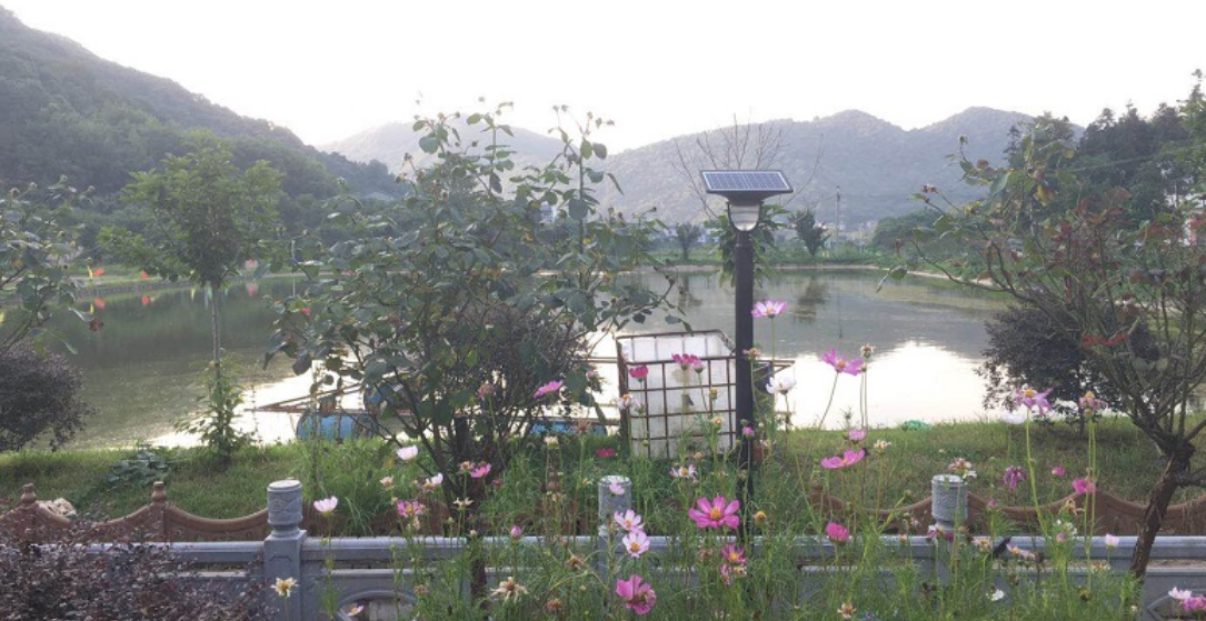 源碼太陽能路燈-綠色環保生活理念